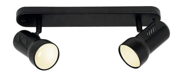 Dirigible Spot Type Ceiling Lamp.