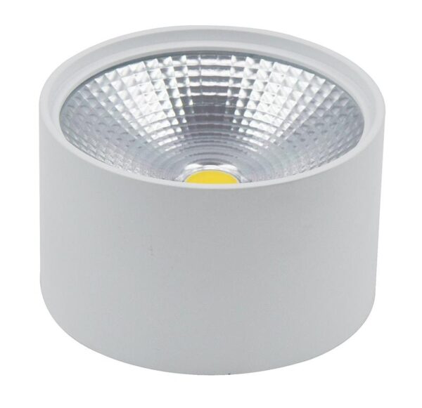 12w Surface Round Led Ceiling Lamp With 150Â ° Angle. 6500k White Fundico Aluminum Finish. 90-305 / 5060hz